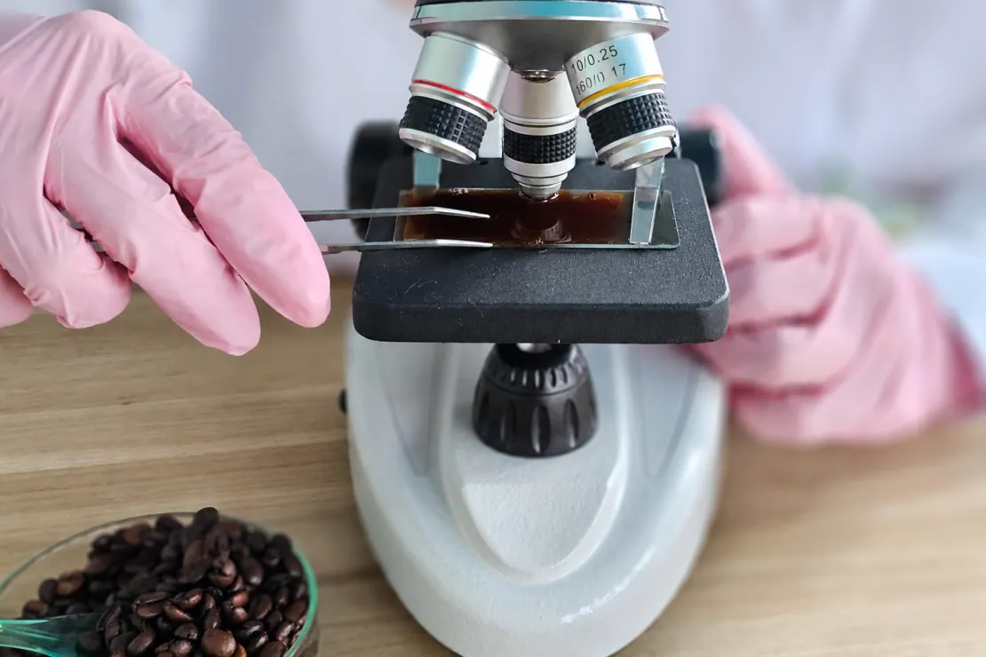 A laboratory microscope analyzing a coffee sample on a glass slide, with coffee beans nearby