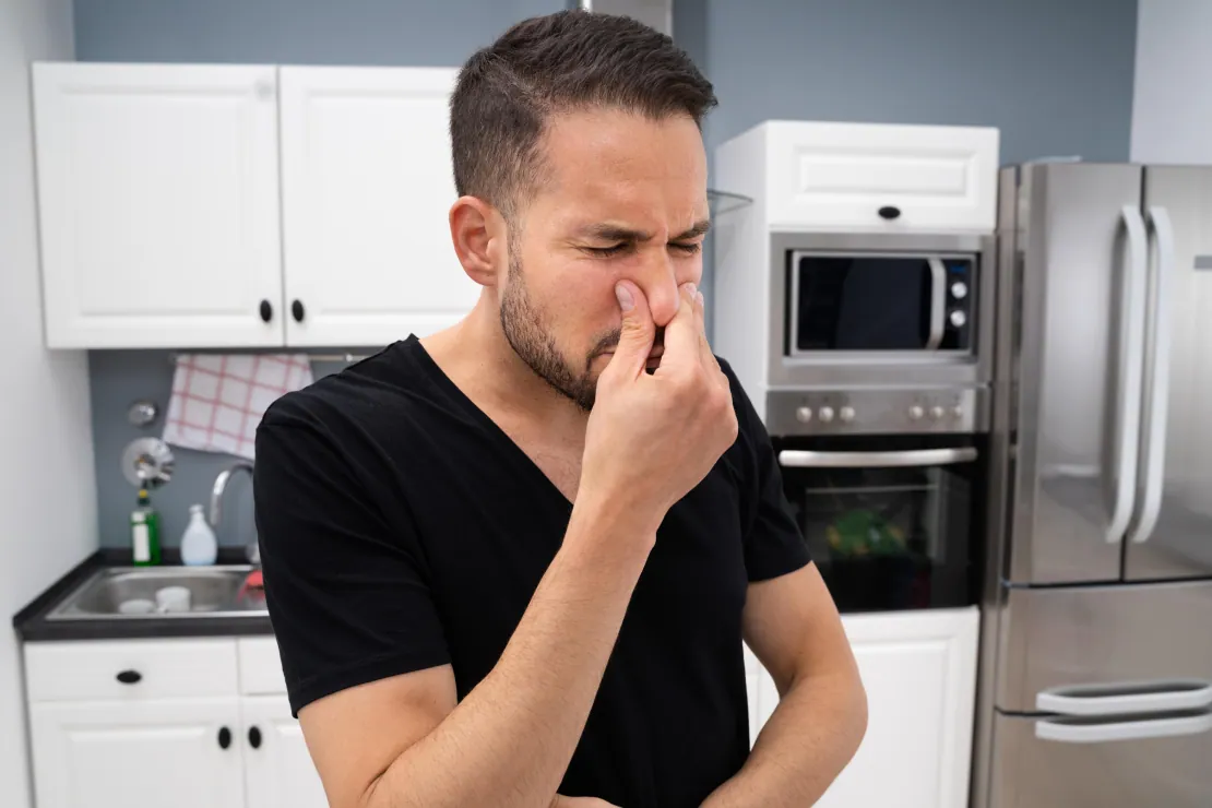 The Protein Puzzle: Why Do Protein Farts Smell So Bad?