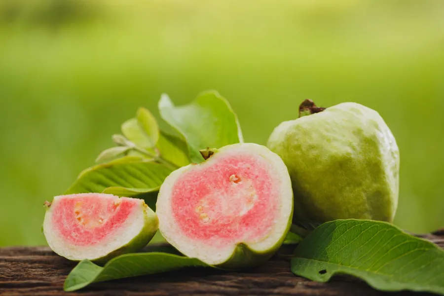 Guava