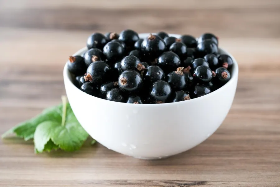 Blackcurrant