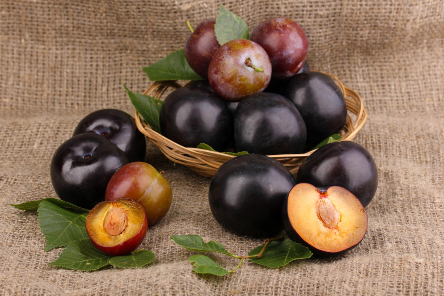 Plum