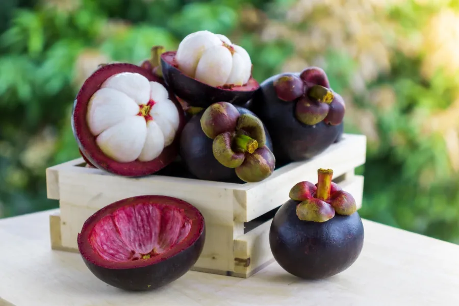 Mangosteen