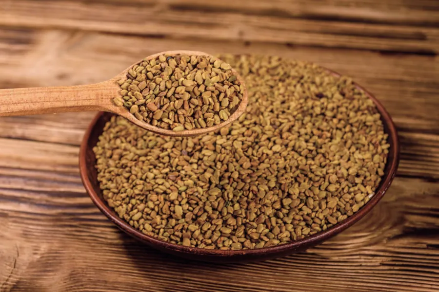 Fenugreek Seeds
