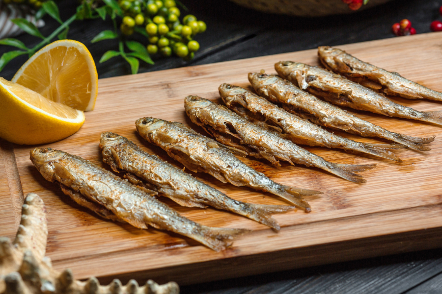 Anchovy