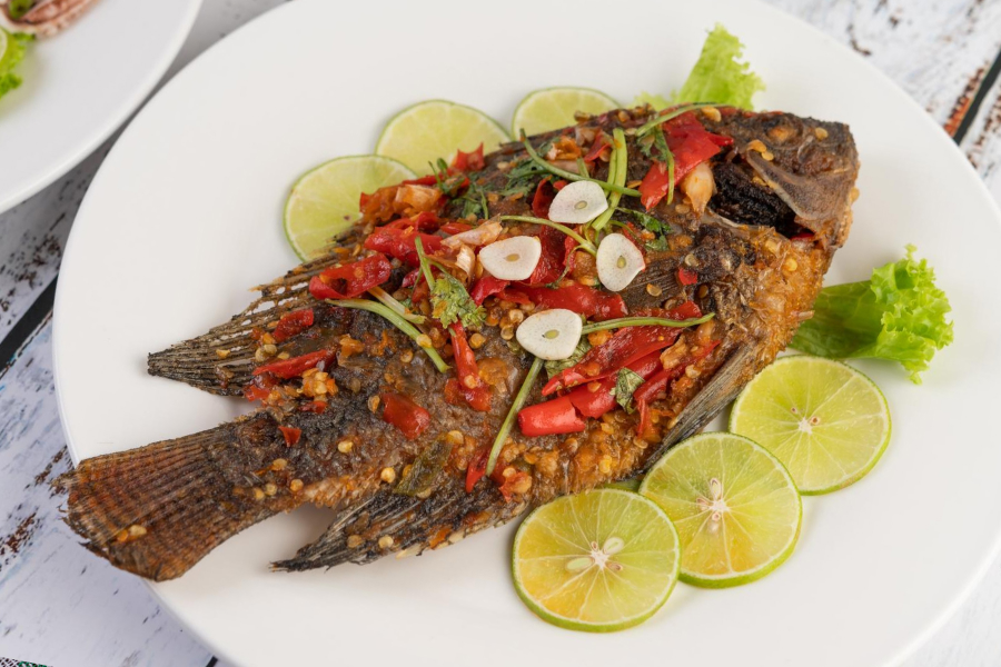 Tilapia