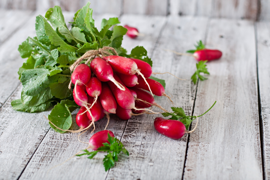 Radish